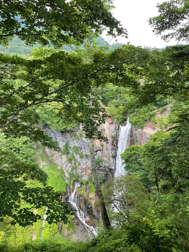 日光一日行程推介‼️走訪多個神社⛩️近距離欣賞男體山🤭