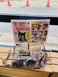 【大阪府】ペットと過ごせる南大阪エリアのドッグカフェ