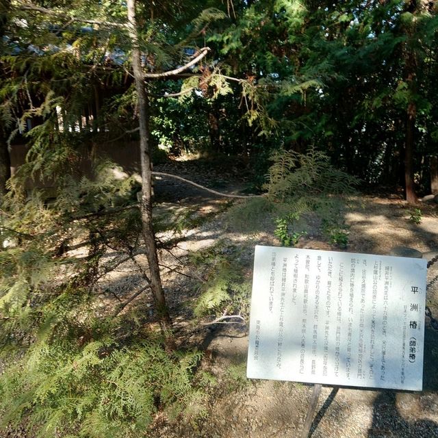 「神明社」細井平洲先生旧里碑