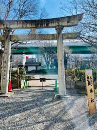 【愛知県】2024年(辰年)に行きたい若宮龍神社