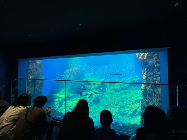 【仙台うみの杜水族館】水族館とちいかわ