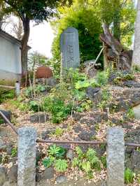 【東京都/中野氷川神社】中野区の「おひかわさま」
