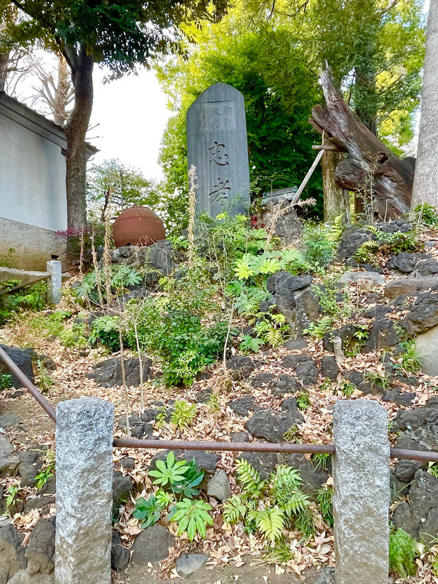 【東京都/中野氷川神社】中野区の「おひかわさま」