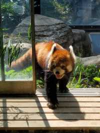 Yokohama Zoological Gardens “Zoorasia” 