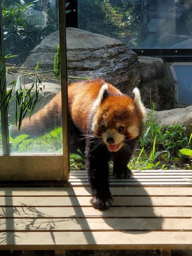 Yokohama Zoological Gardens “Zoorasia” 