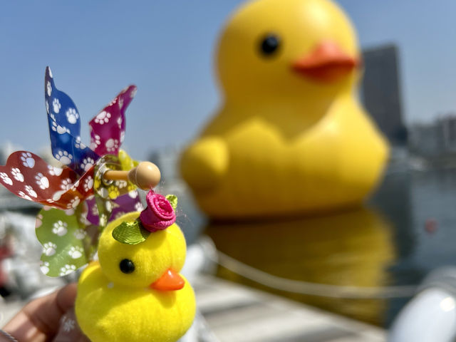 高雄市 高雄港黃色小鴨🐤