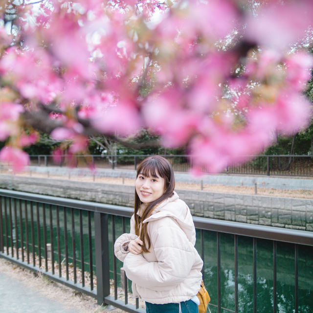 【東京】スカイツリー×桜🌸が撮れる穴場スポット📷´-