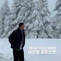 대관령에서 발견한 북해도 감성 스팟❄️