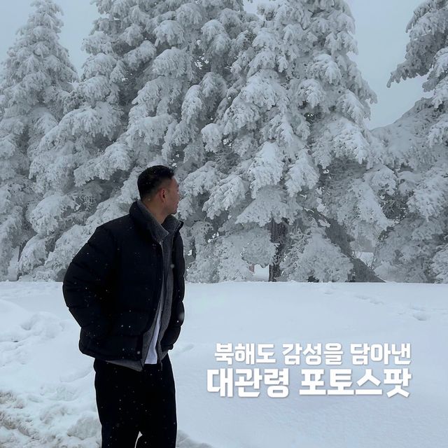 대관령에서 발견한 북해도 감성 스팟❄️