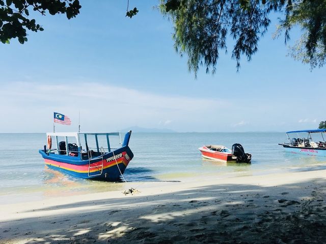 Penang National Park 