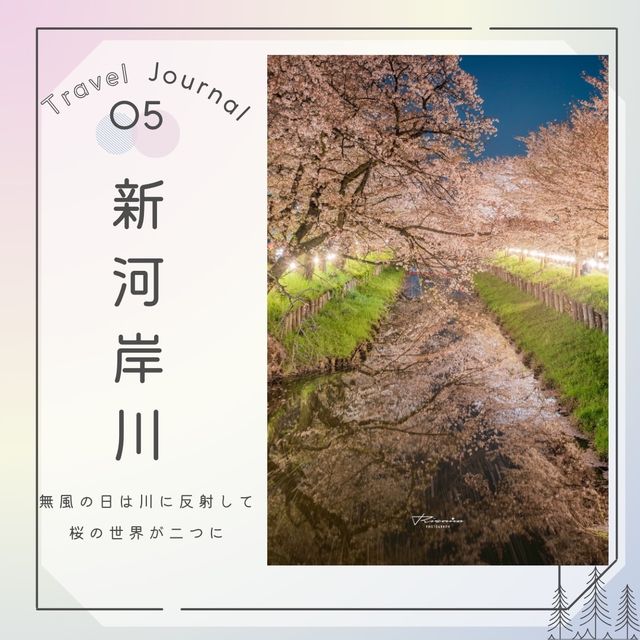 🌸桜の川越を巡る旅🌸