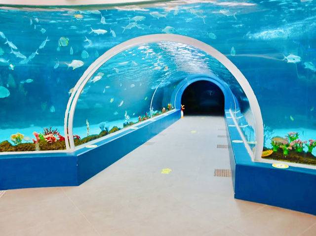 Cebu Ocean Park Cebu Ocean Park