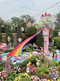 香港也有超美向日葵花海 香港花卉展覽2024
