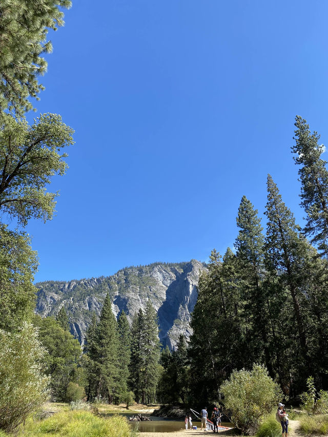 ดื่มด่ำธรรมชาติที่ Yosemite National Park ⛰️