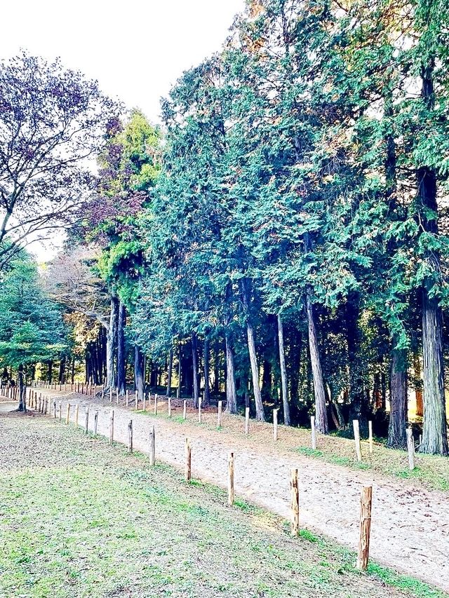 【出雲伊波比神社/埼玉県】柚子の町と流鏑馬の神社