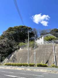 【三代王神社/千葉県】郷中安全の守護神として勧請