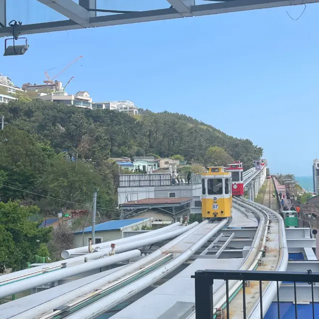 Sky High Delights: Busan Sky Capsule 