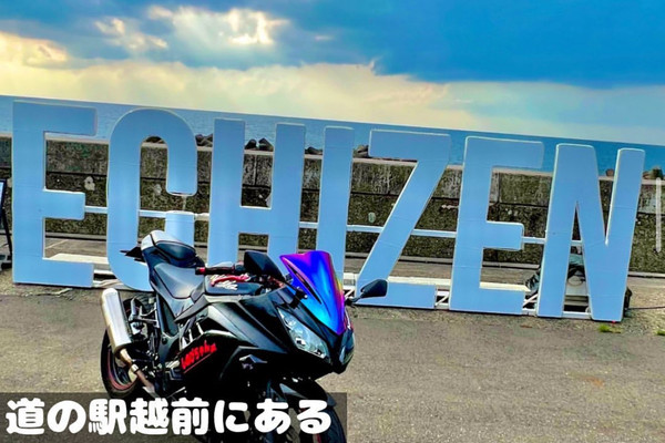 ★GW限定値下げ　鉄道駅名標 越前　ECHIZEN ☆GW限定値下げ 鉄道駅名標 越前 ECHIZEN Unboxing the Echizen