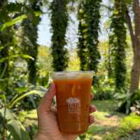 MiVana Organic Forest Coffee