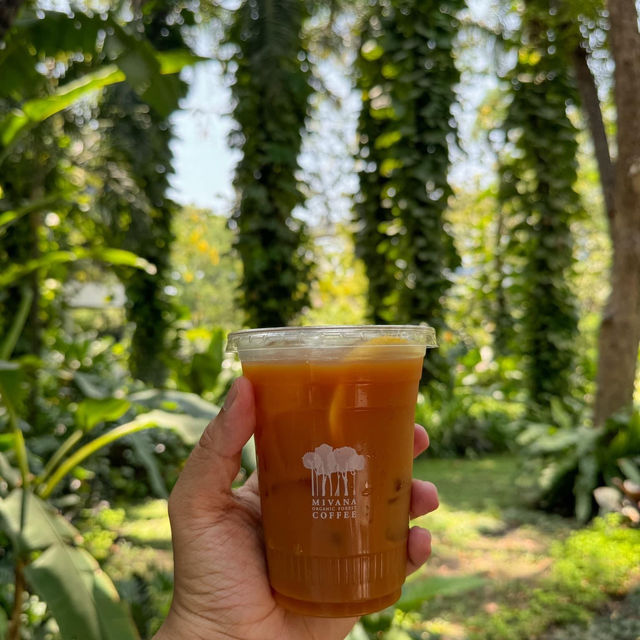 MiVana Organic Forest Coffee