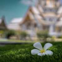 กราบสักการะหลวงพ่อโสธร จ.ฉะเชิงเทรา 