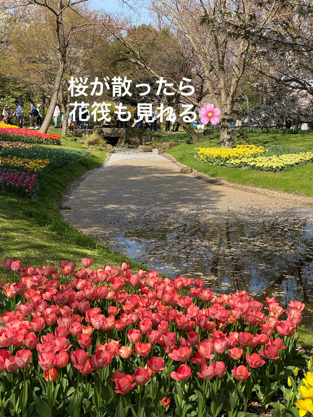【立川】昭和記念公園の桜とチューリップは、絶対に見てほしい