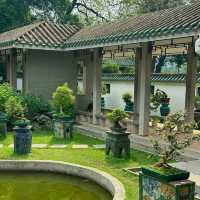 澳門花城公園：花海中的寧靜與美麗 🌺🌳