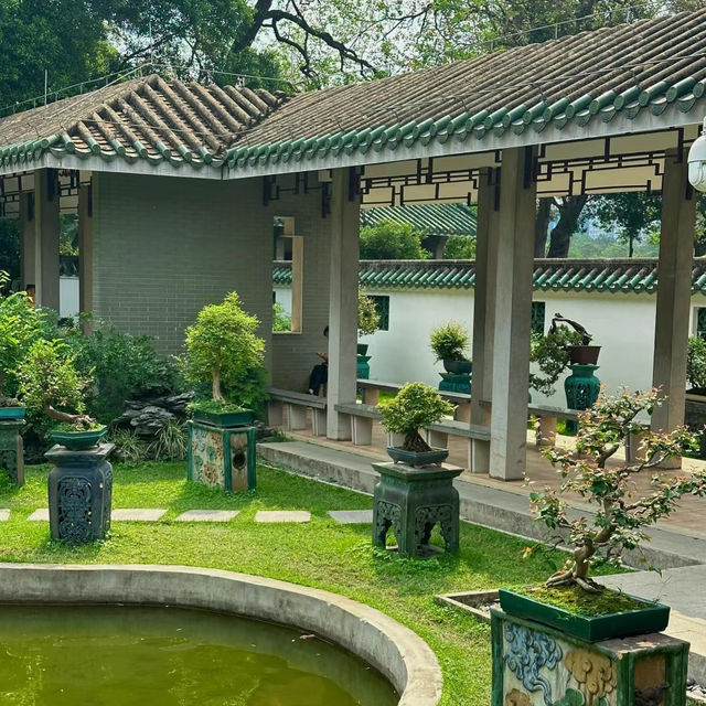 澳門花城公園：花海中的寧靜與美麗 🌺🌳