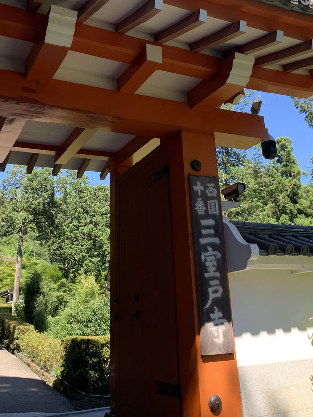 京都　360度あじさいビューのお寺