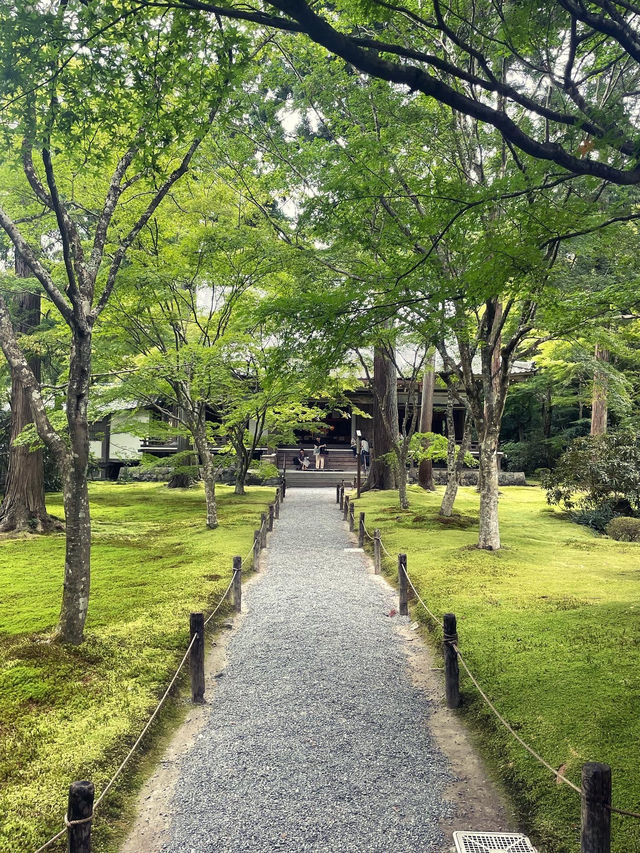 【京都】紅葉シーズンにも期待🍁