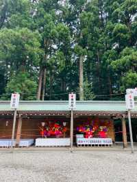 【新潟県】新潟県随一のパワースポット彌彦神社！