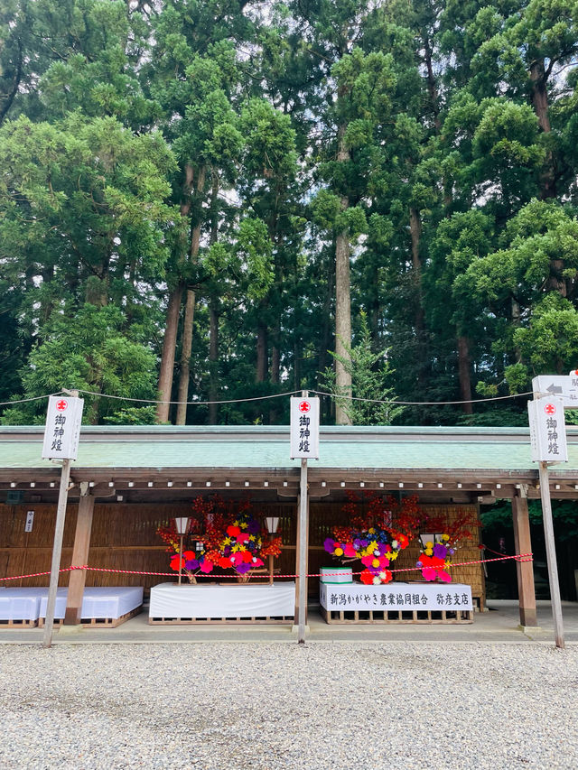【新潟県】新潟県随一のパワースポット彌彦神社！
