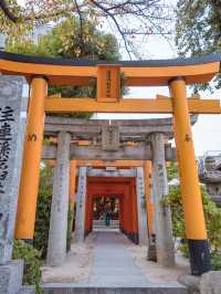 Kushida Shrine ศาลเจ้าที่เก่าแก่ที่สุดในฟุกุโอกะ 🌟