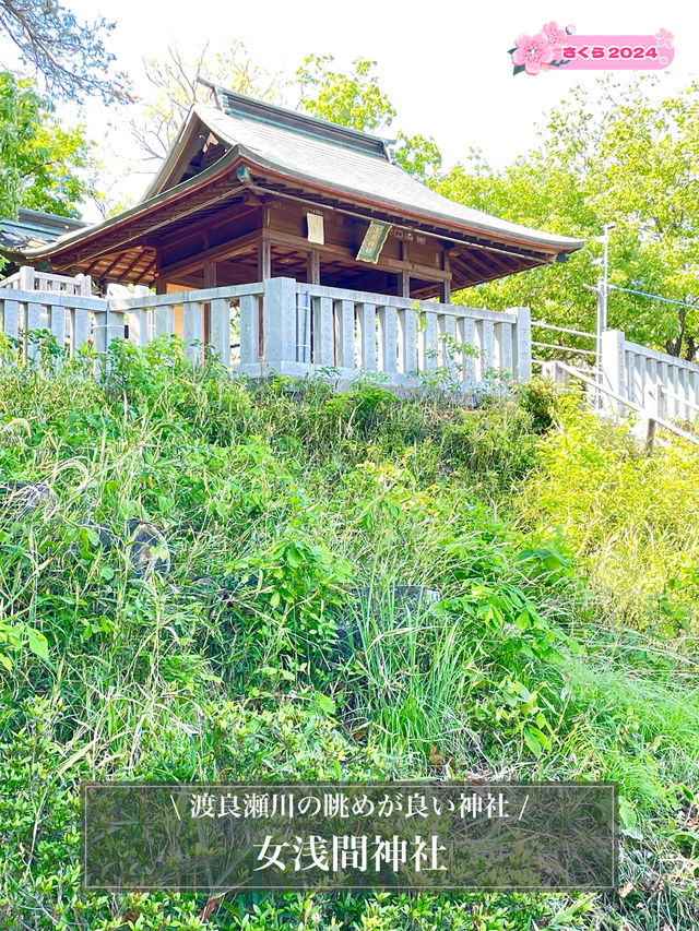 【女浅間神社/栃木県】渡良瀬川の眺めが良い神社