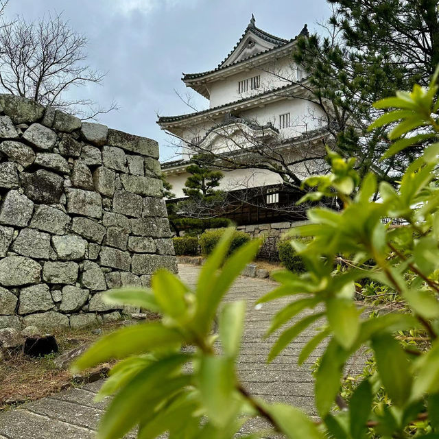「駿府城公園：日本歷史與自然之美」