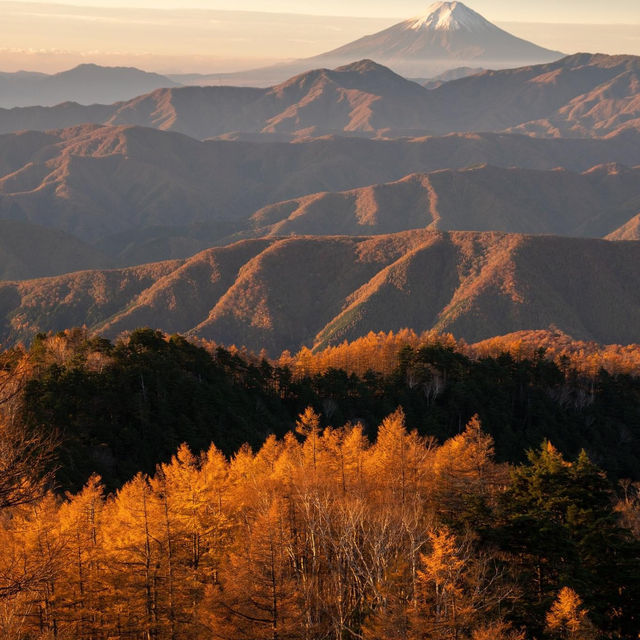 雲取山