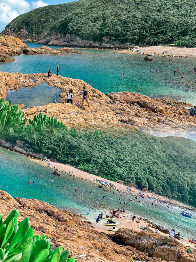探索香港的海底秘境：綠蛋島浮潛之旅