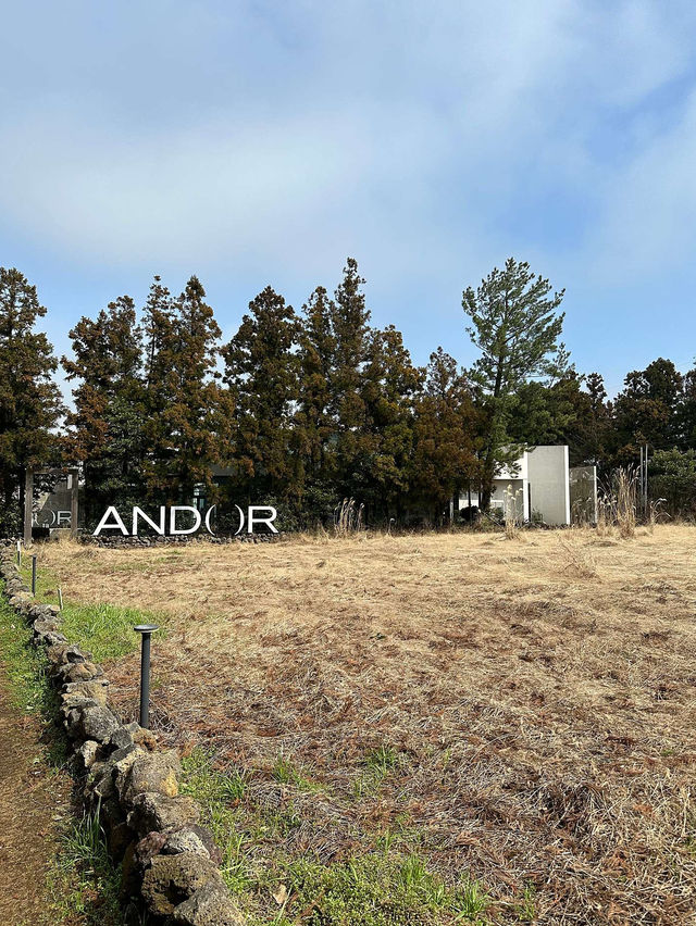 🏡🌳제주_구좌 비자림 카페 안도르(ANDOR)