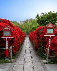 complex of shrines that are decorated