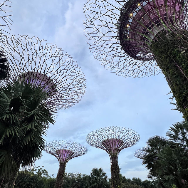 外星人基地： Gardens By the Bay 