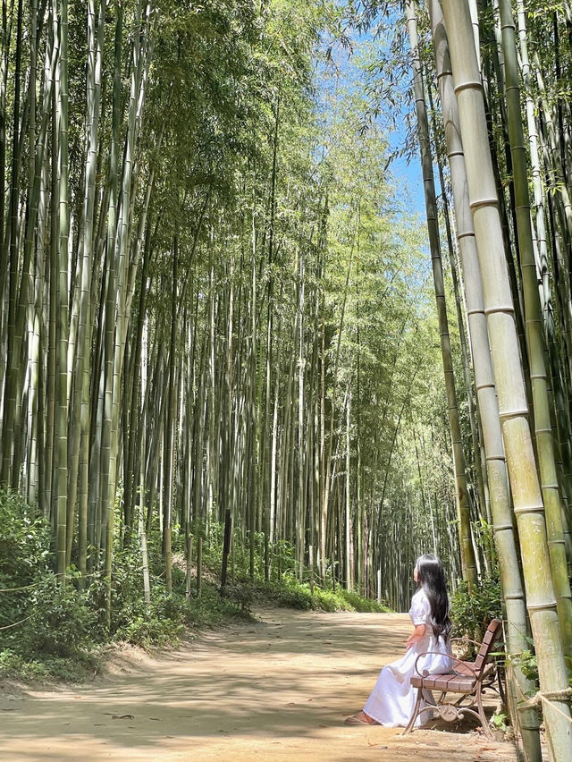 🎋 인생 첫 담양 여행 죽녹원 다녀왔어요!💚