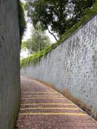 Fort Canning Park | Singapore