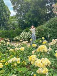 【京都】季節の花が楽しめて、ピクニックも出来る200円で入れる植物園