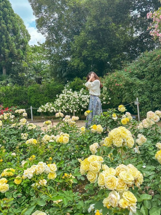 【京都】季節の花が楽しめて、ピクニックも出来る200円で入れる植物園