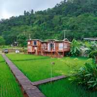 ⛺️ สะปัน คีรี แคมป์ โฮมสเตย์กลางธรรมชาติ