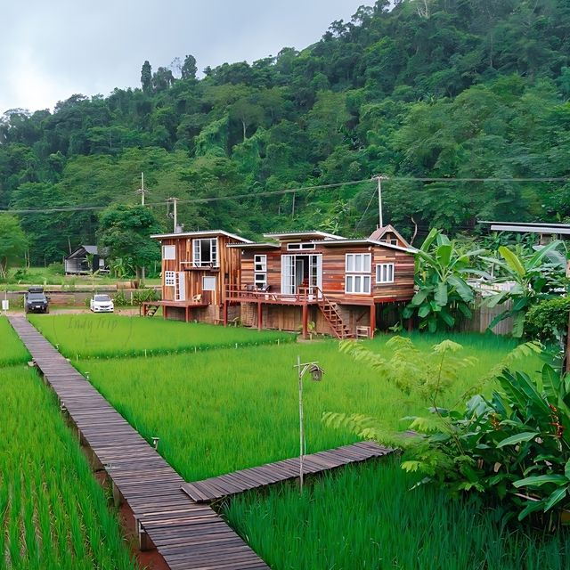 ⛺️ สะปัน คีรี แคมป์ โฮมสเตย์กลางธรรมชาติ