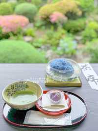 【三重・志摩】今がちょうど見頃！あじさい寺