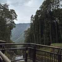 Alishan National Park 