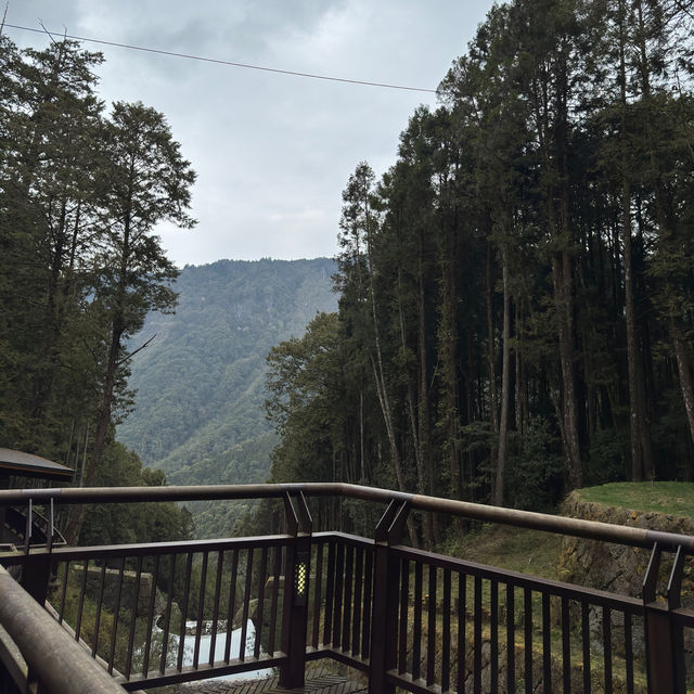 Alishan National Park 