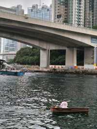 【南區海濱長廊】是一條既輕鬆又有靚靚避風塘景包圍住的小徑